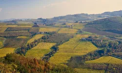 Imposta di soggiorno