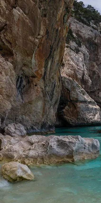 Sardegna, Coldiretti, Prodotti tipici sardi, Milano, News dall'isola