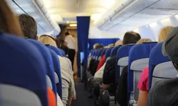 Cabin Crew 2