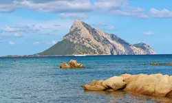 Mater Olbia