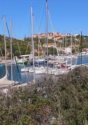 Budoni: il 17 Luglio la presentazione di “Shardana e Sardegna”, l’ultima opera del Prof. Giovanni Ugas Budoni: il 17 Luglio la presentazione di “Shardana e Sardegna”, l’ultima opera del Prof. Giovanni Ugas