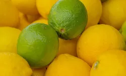 Vitamina