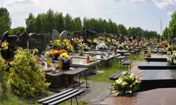 Anna Idda