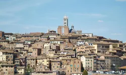 Locandina Pino Anticorpi